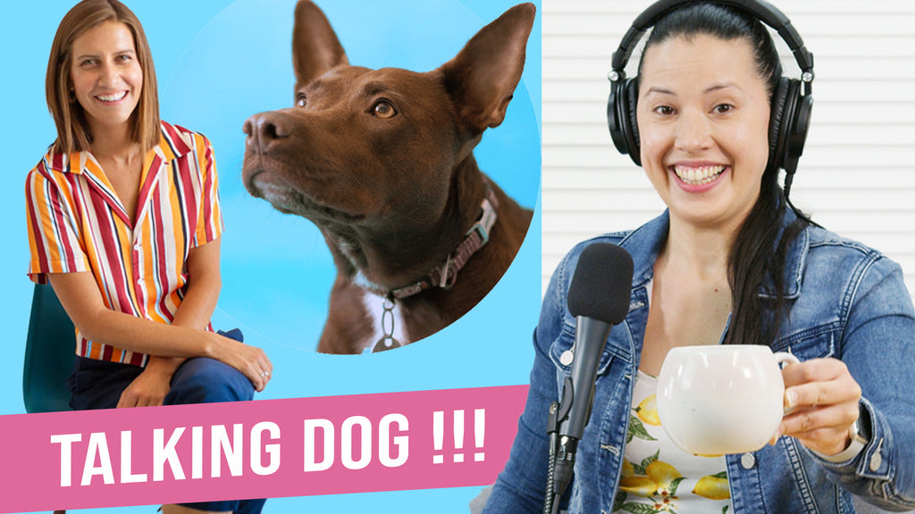 Coffee with Sam | Stella the Talking Dog