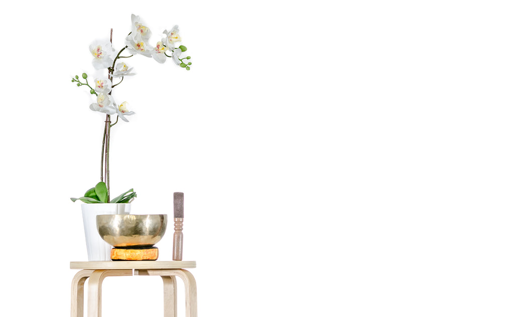 New Referral Program