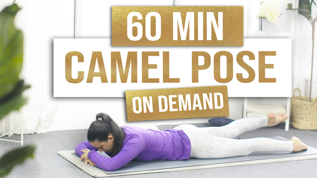 Whole Body Flow | Camel Pose